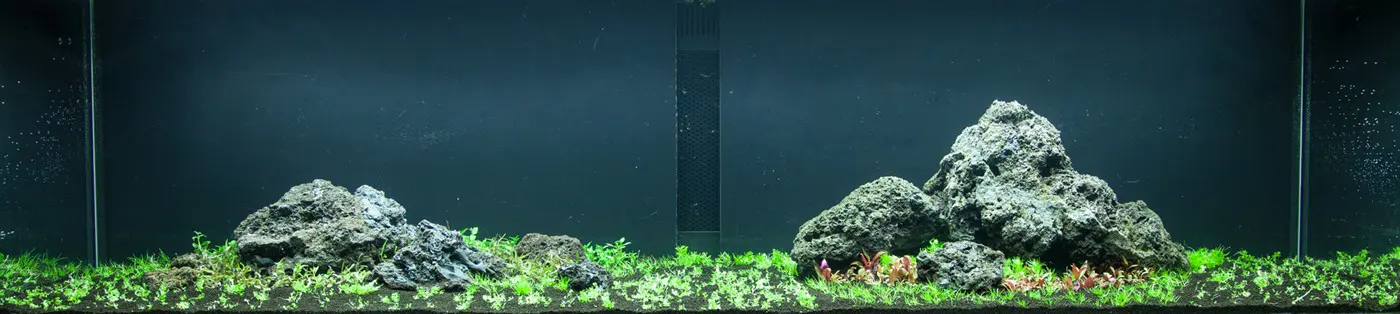 造景 94造景图片 2