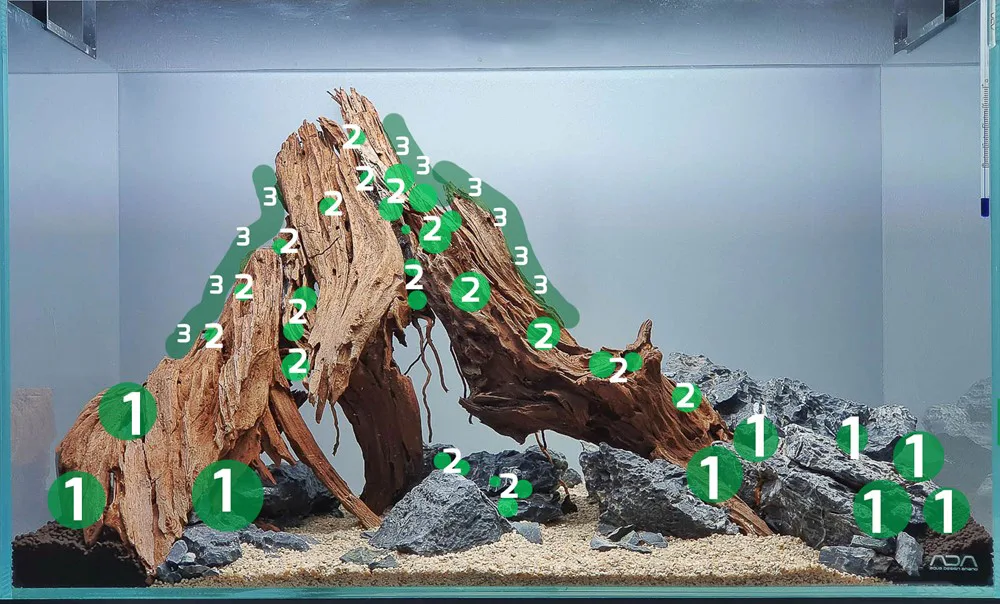 造景 124：Ndokulandela种植位置示意图