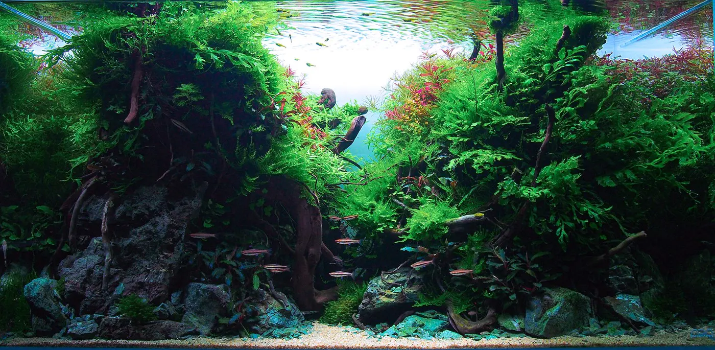 造景 121：低吼