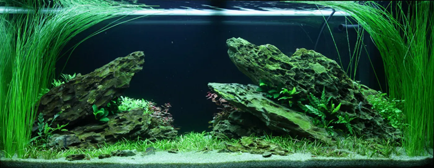造景 82造景图片 3