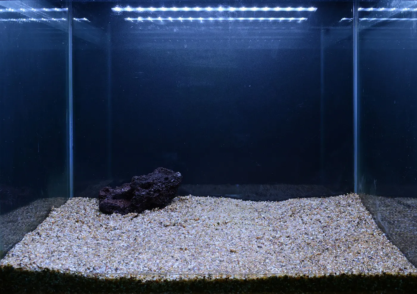 造景 107造景图片 4