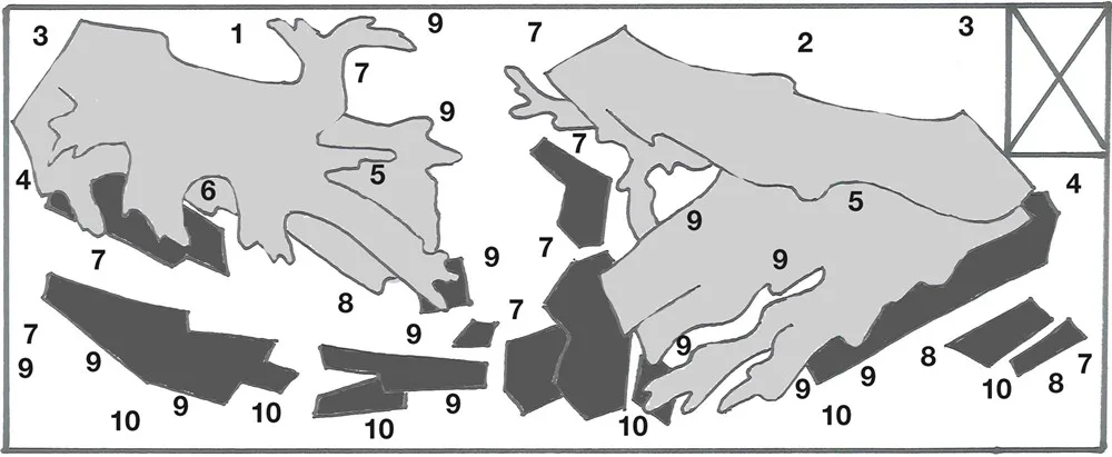 造景 80种植位置示意图