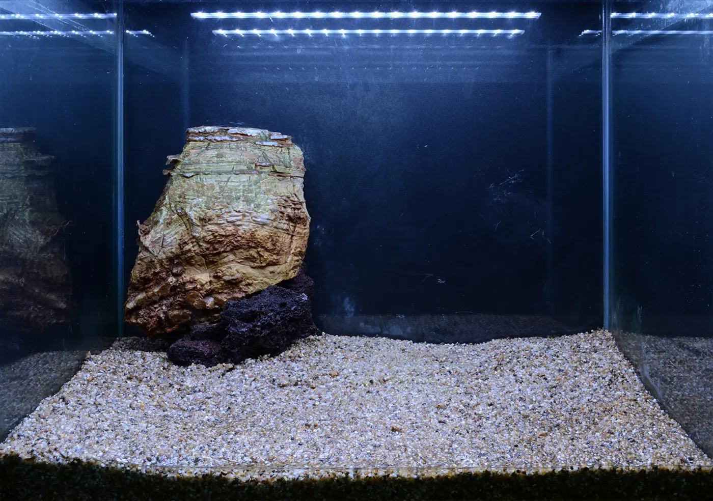 造景 107造景图片 5