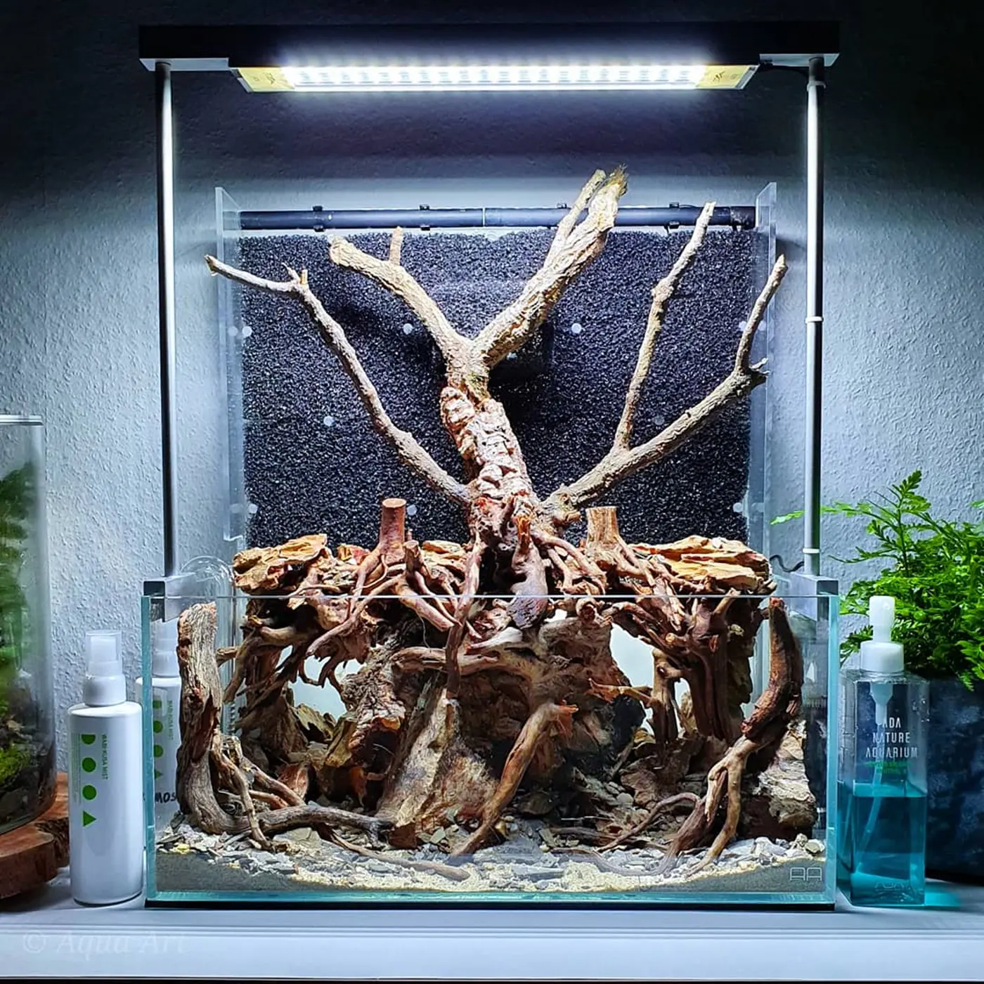 造景 119：绿色沼泽造景图片 7
