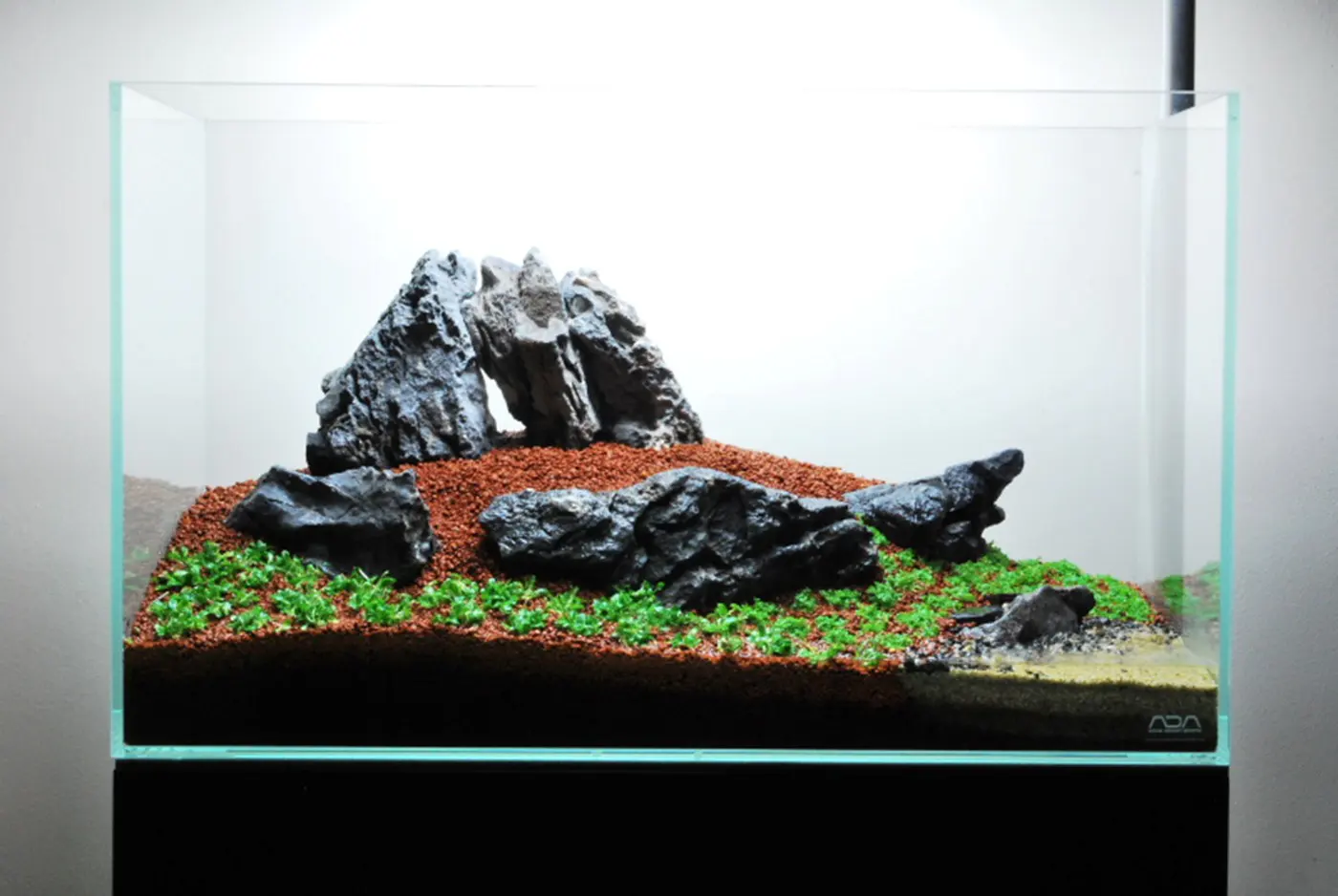 造景 59造景图片 20