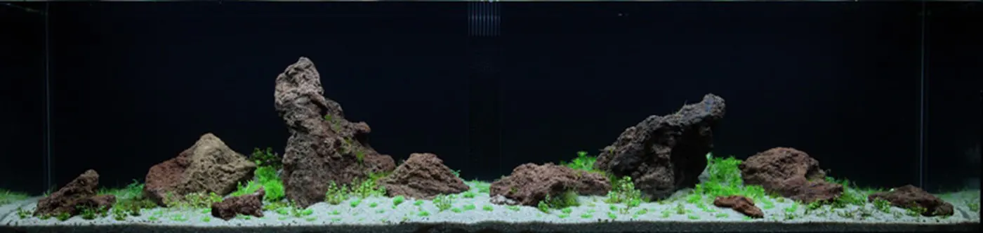 造景 53造景图片 2