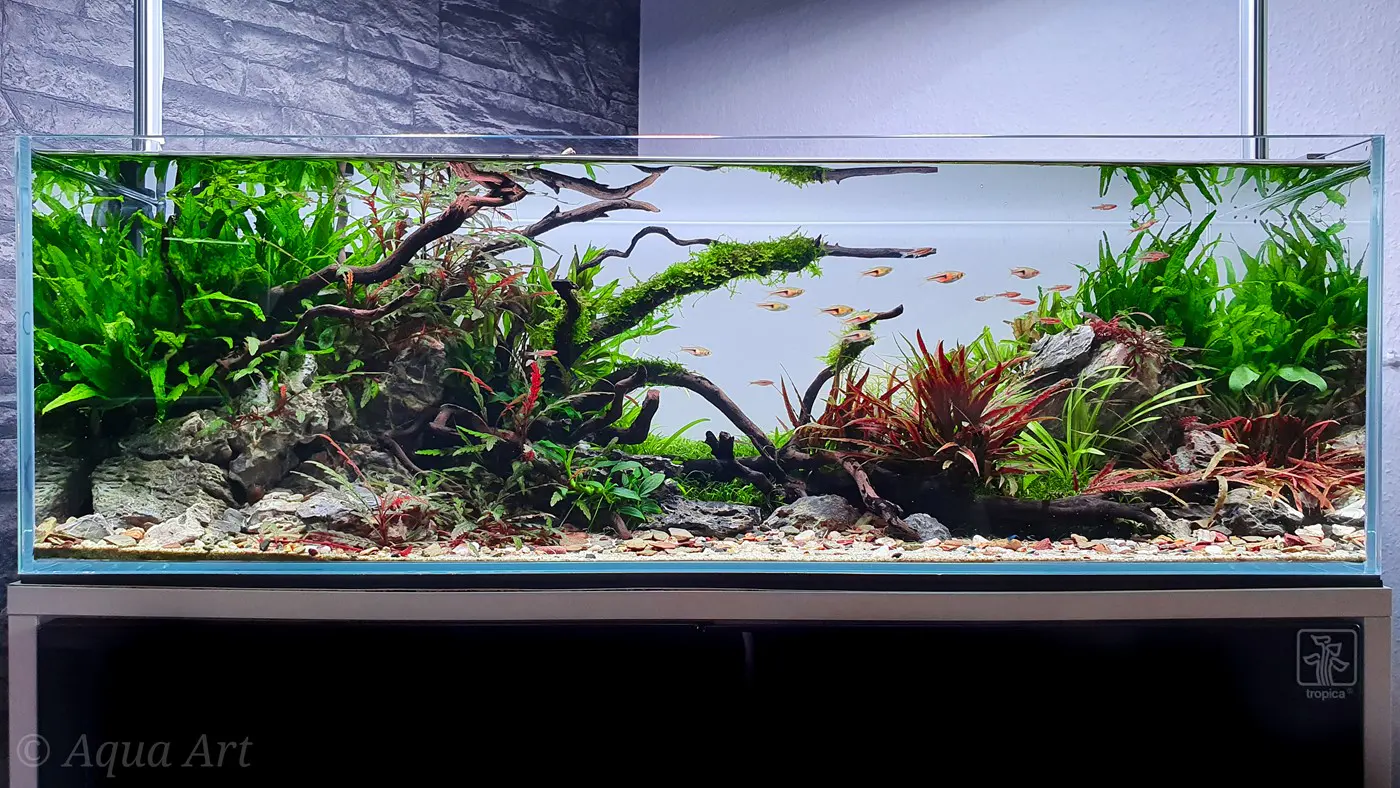 造景 120：绿河