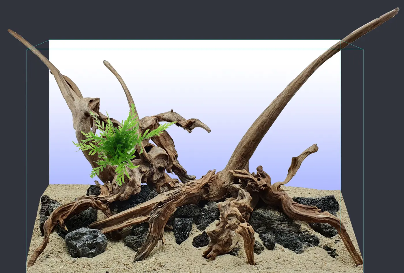 造景 125:Tropica 海滩造景图片 2