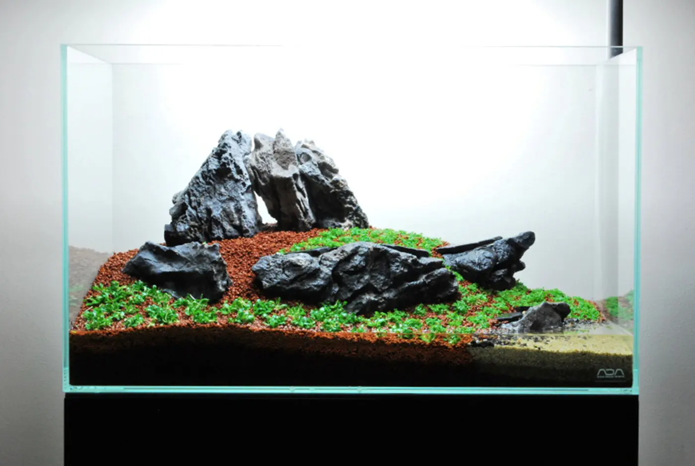 造景 59造景图片 21
