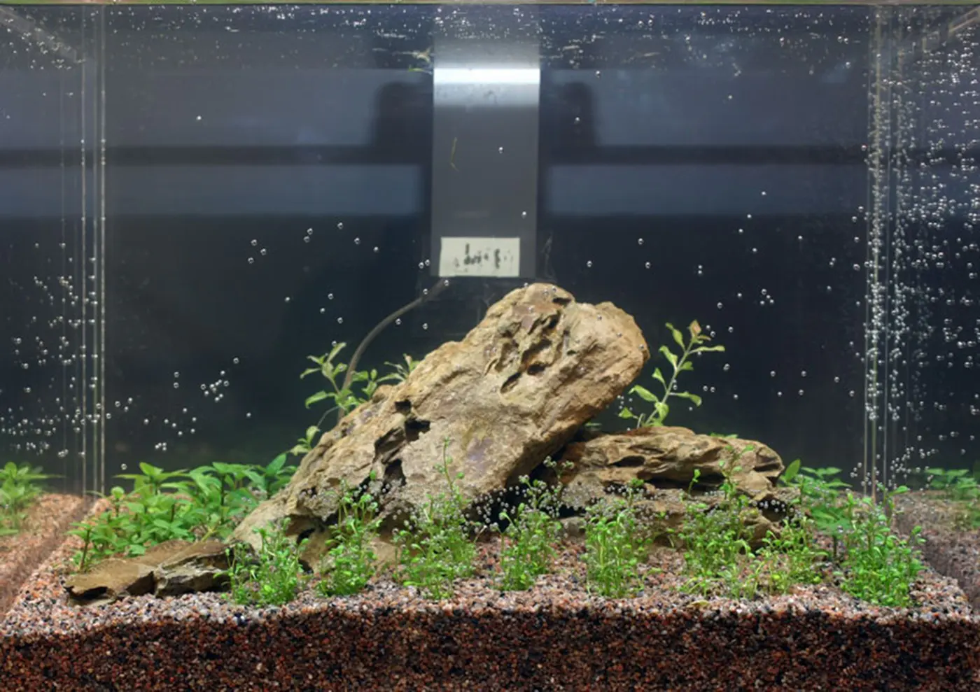 造景 9造景图片 2
