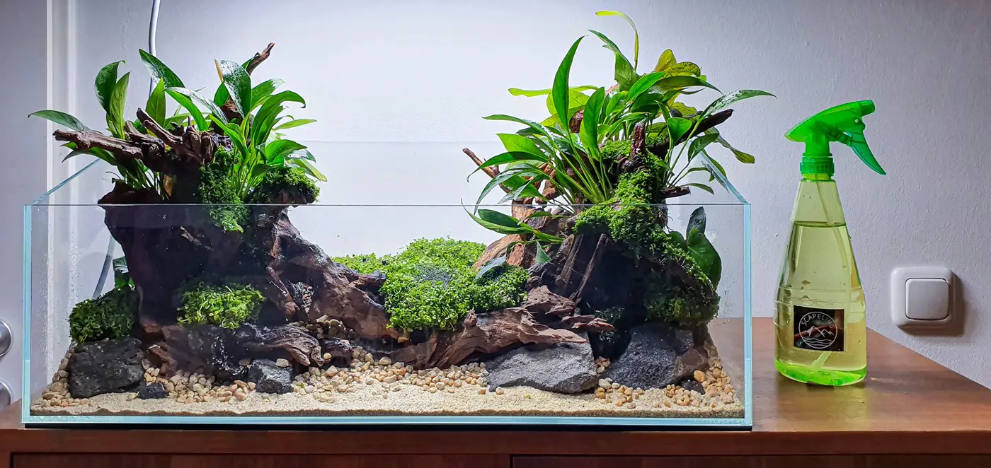 造景 127:随流而行造景图片 2