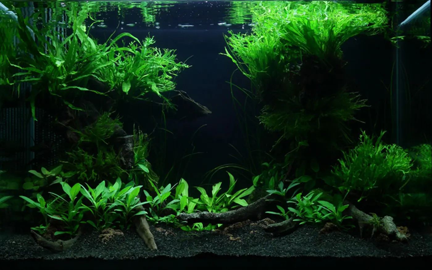 造景 47造景图片 2