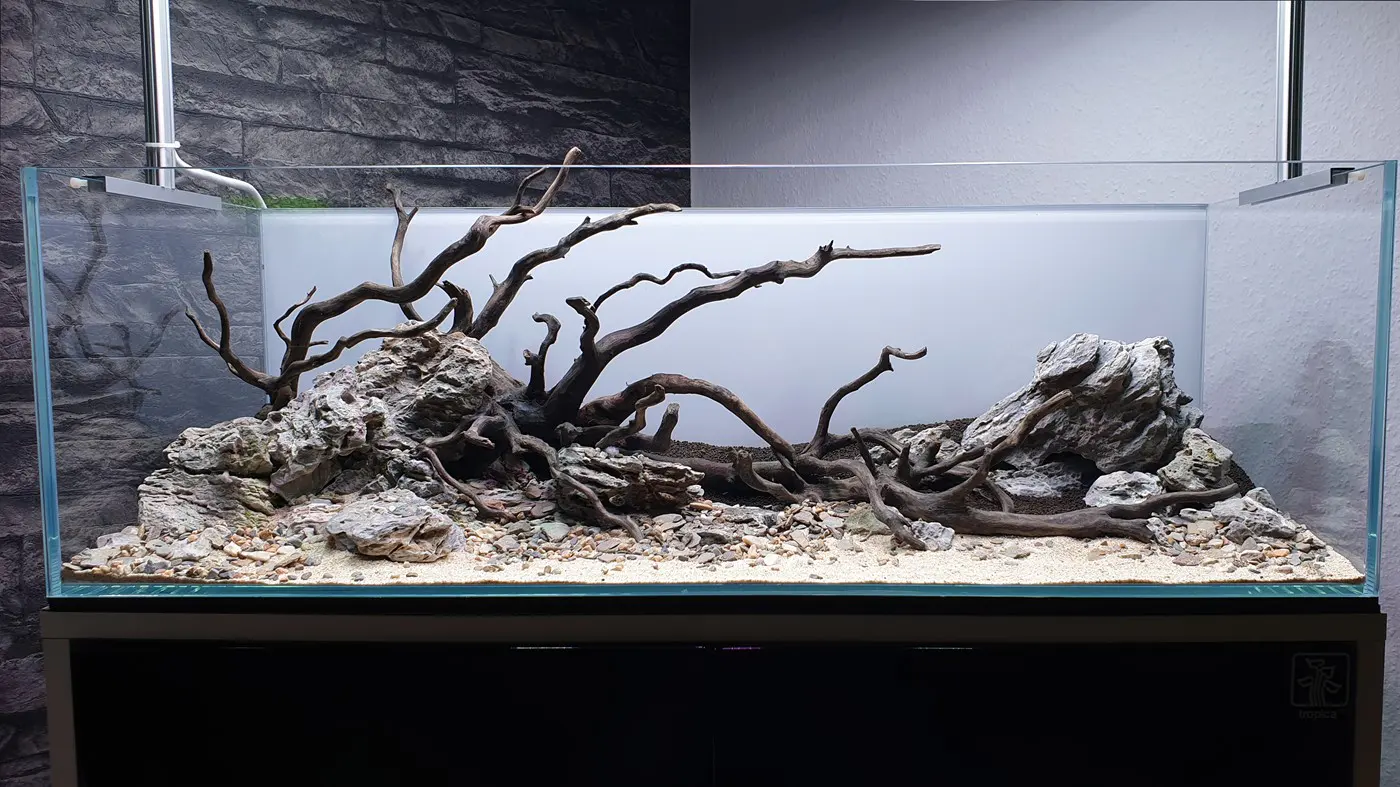 造景 120：绿河造景图片 8