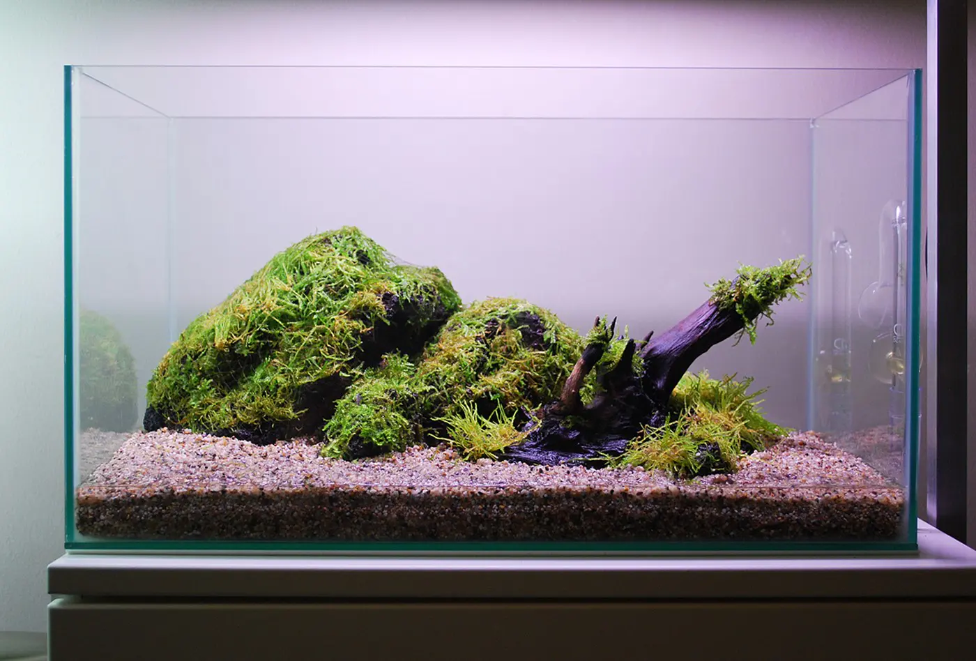 造景 104造景图片 9