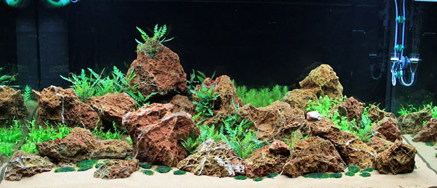 造景 23造景图片 4
