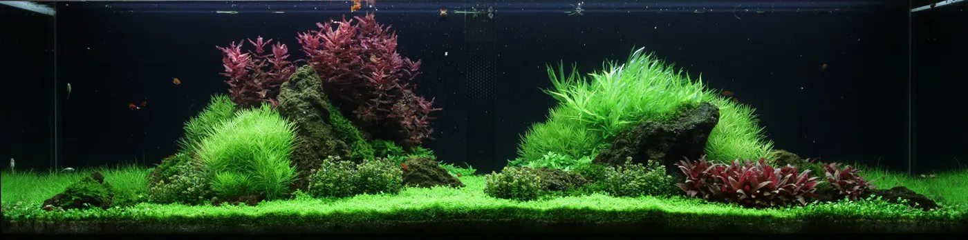 造景 53