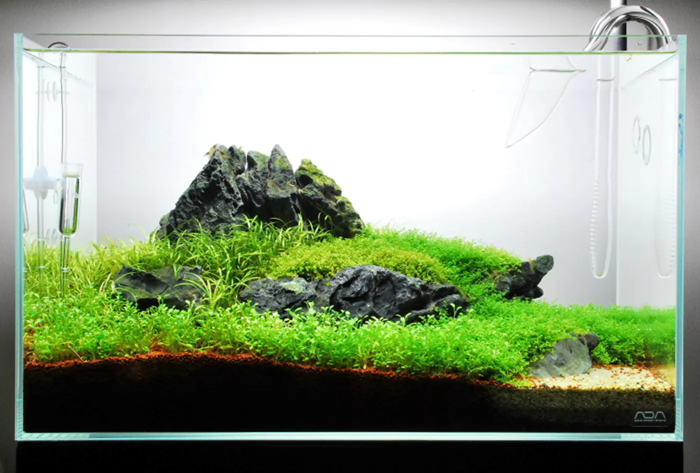 造景 59造景图片 4