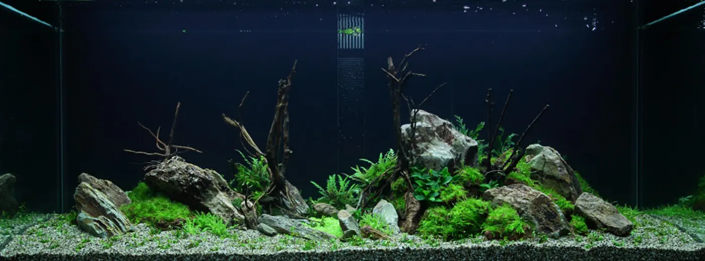 造景 52造景图片 2