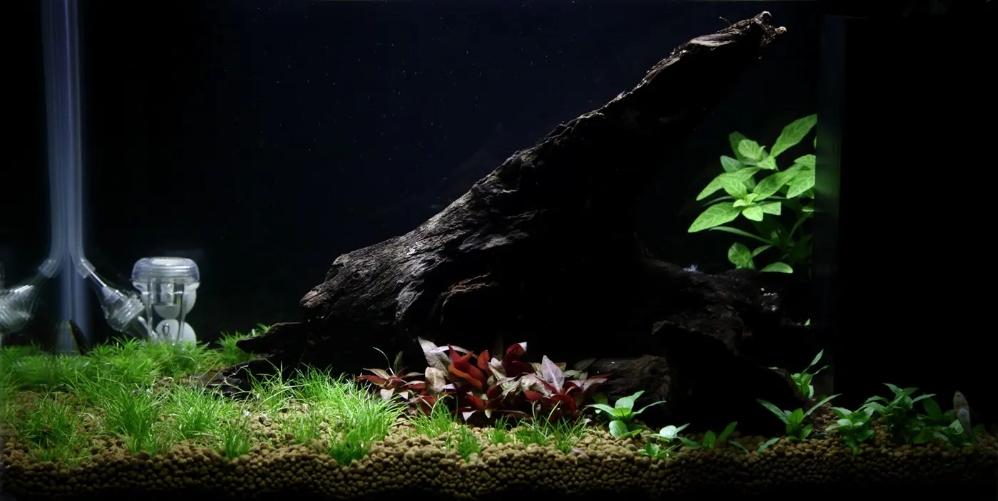 造景 93造景图片 2