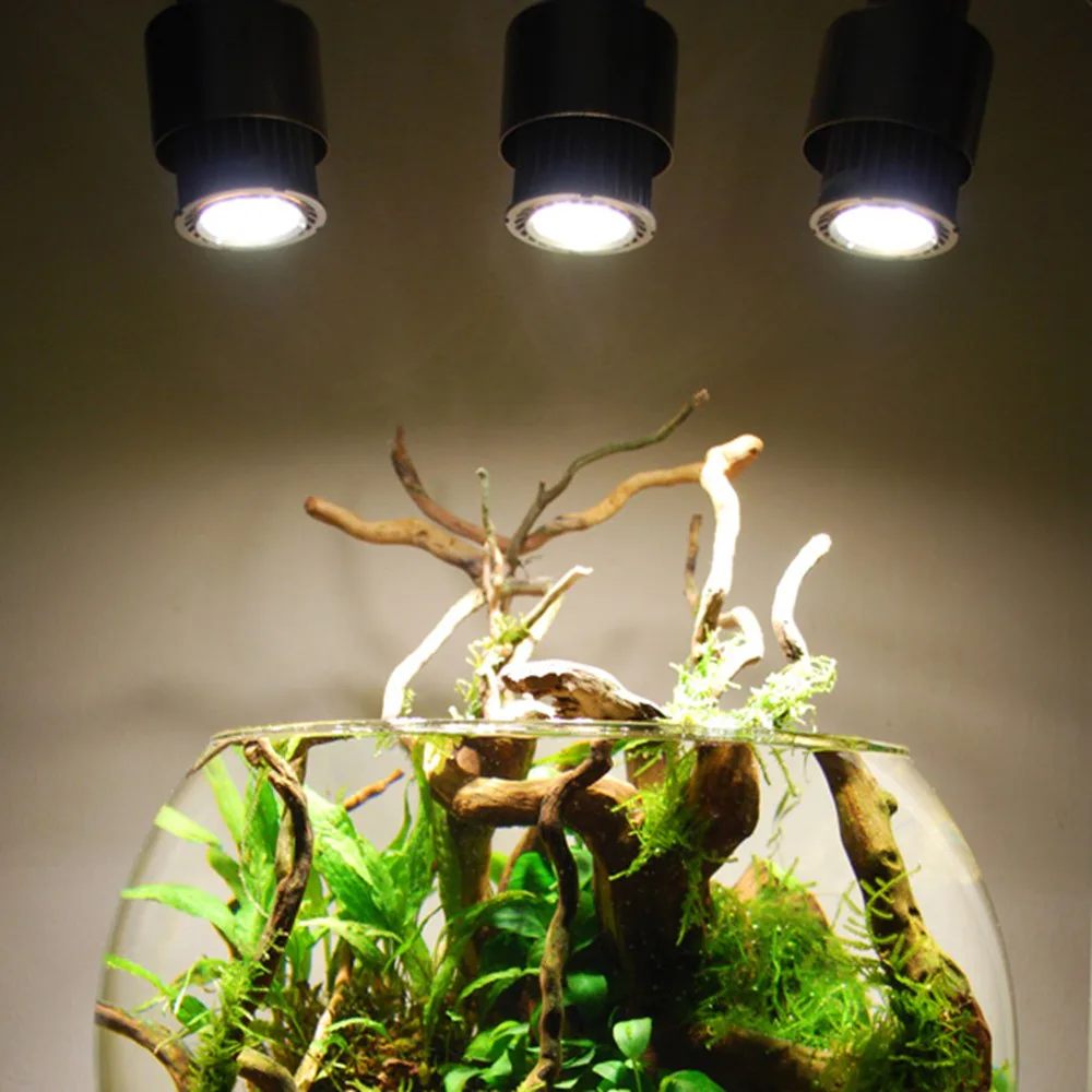 造景 87种植位置示意图