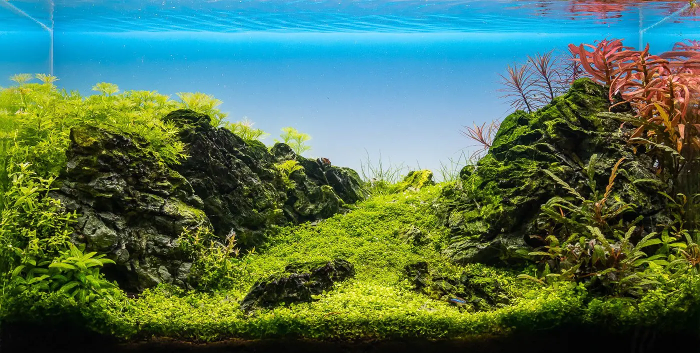 造景 126:大雷滕斯泰因山造景图片 3