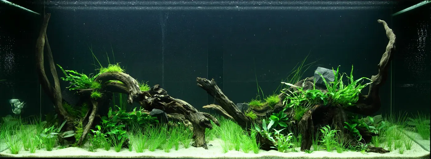 造景 95造景图片 2
