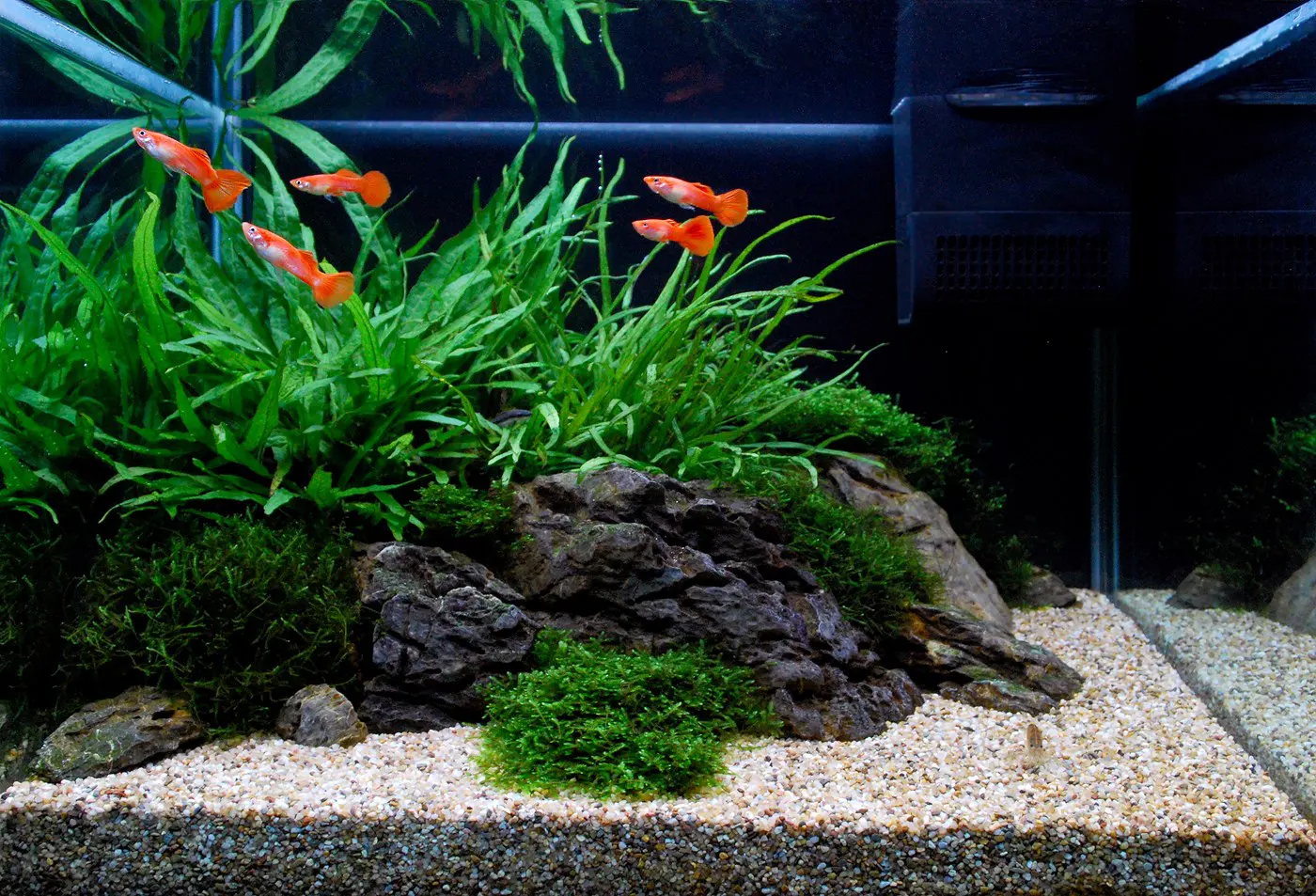 造景 106