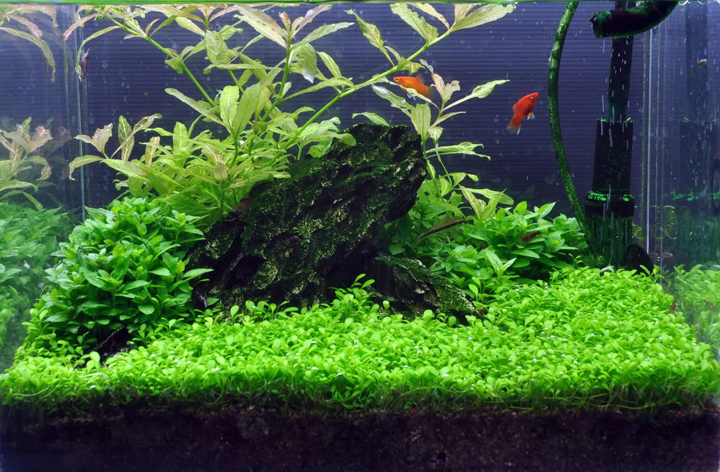 造景 9