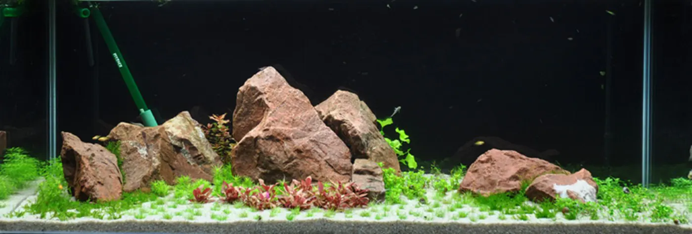 造景 54造景图片 2