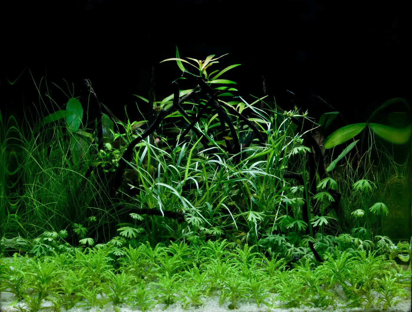造景 31