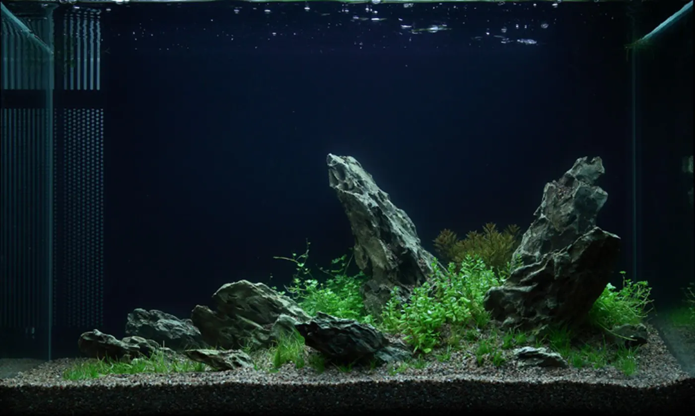 造景 49造景图片 2