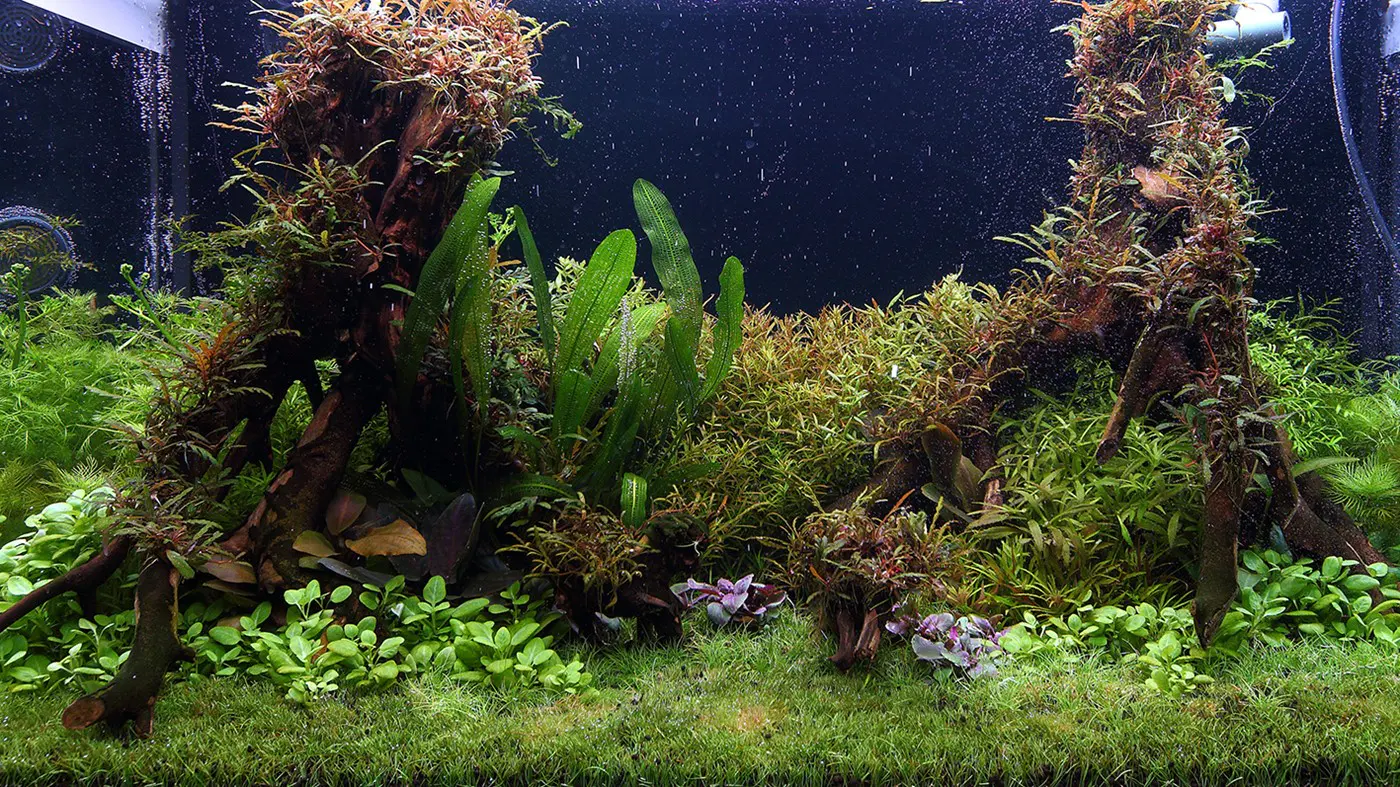 造景 109