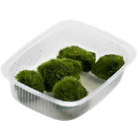 海藻球