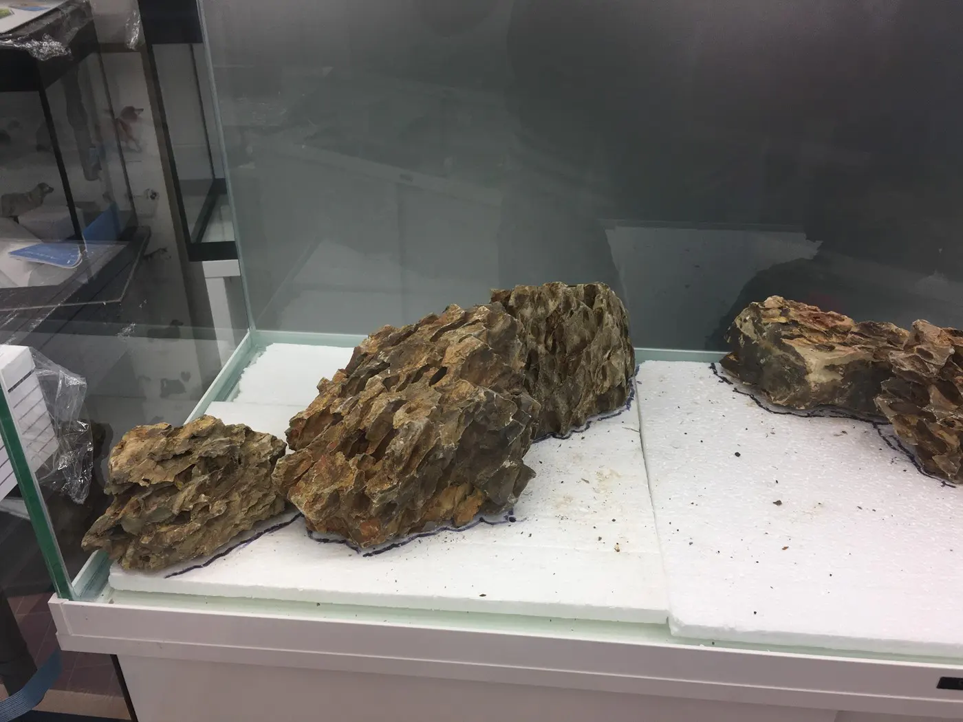 造景 118:寂静的力量造景图片 2