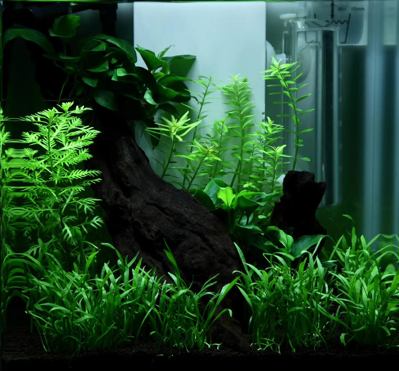 造景 92造景图片 4