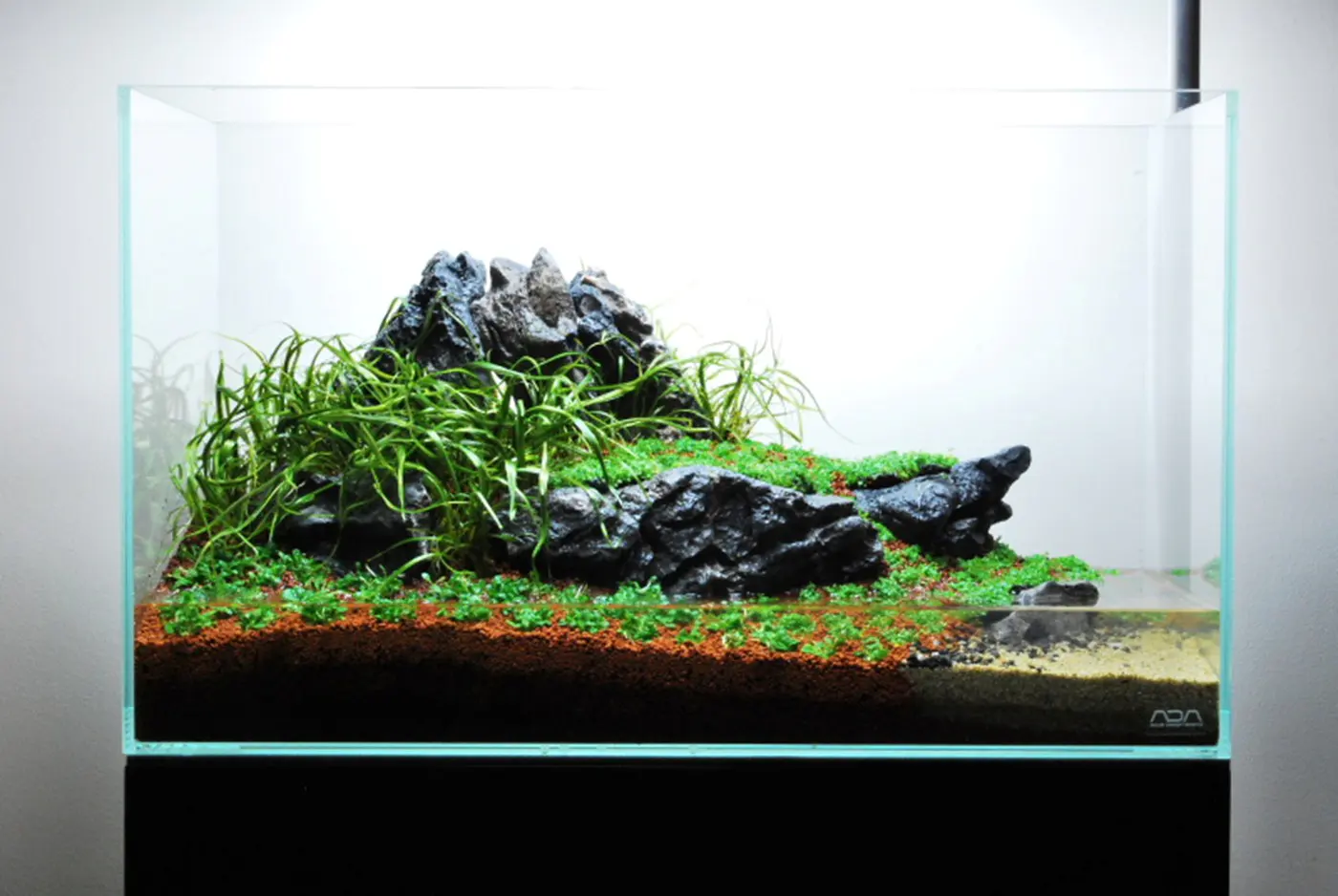 造景 59造景图片 23