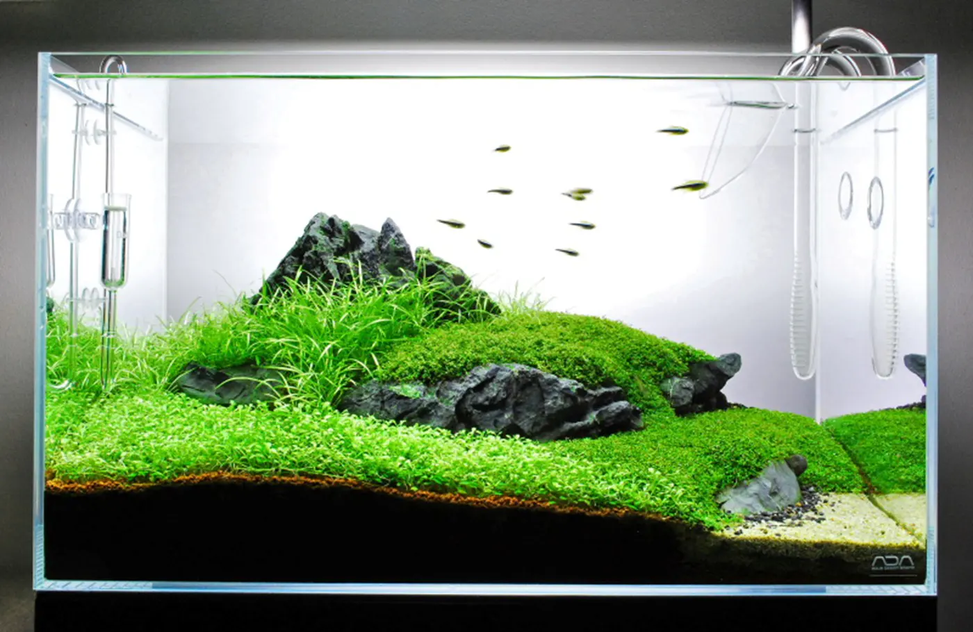 造景 59造景图片 3