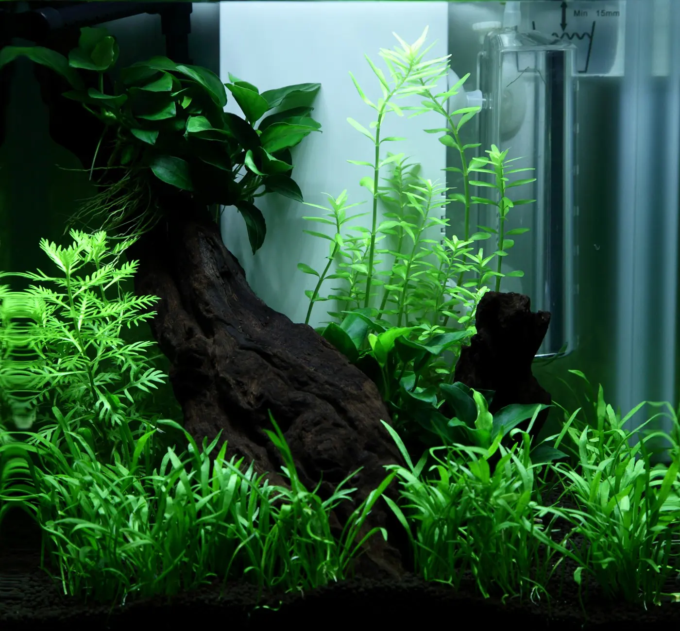 造景 92造景图片 3