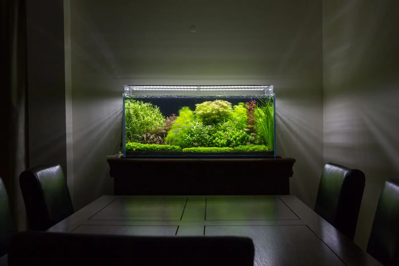 造景 105造景图片 29