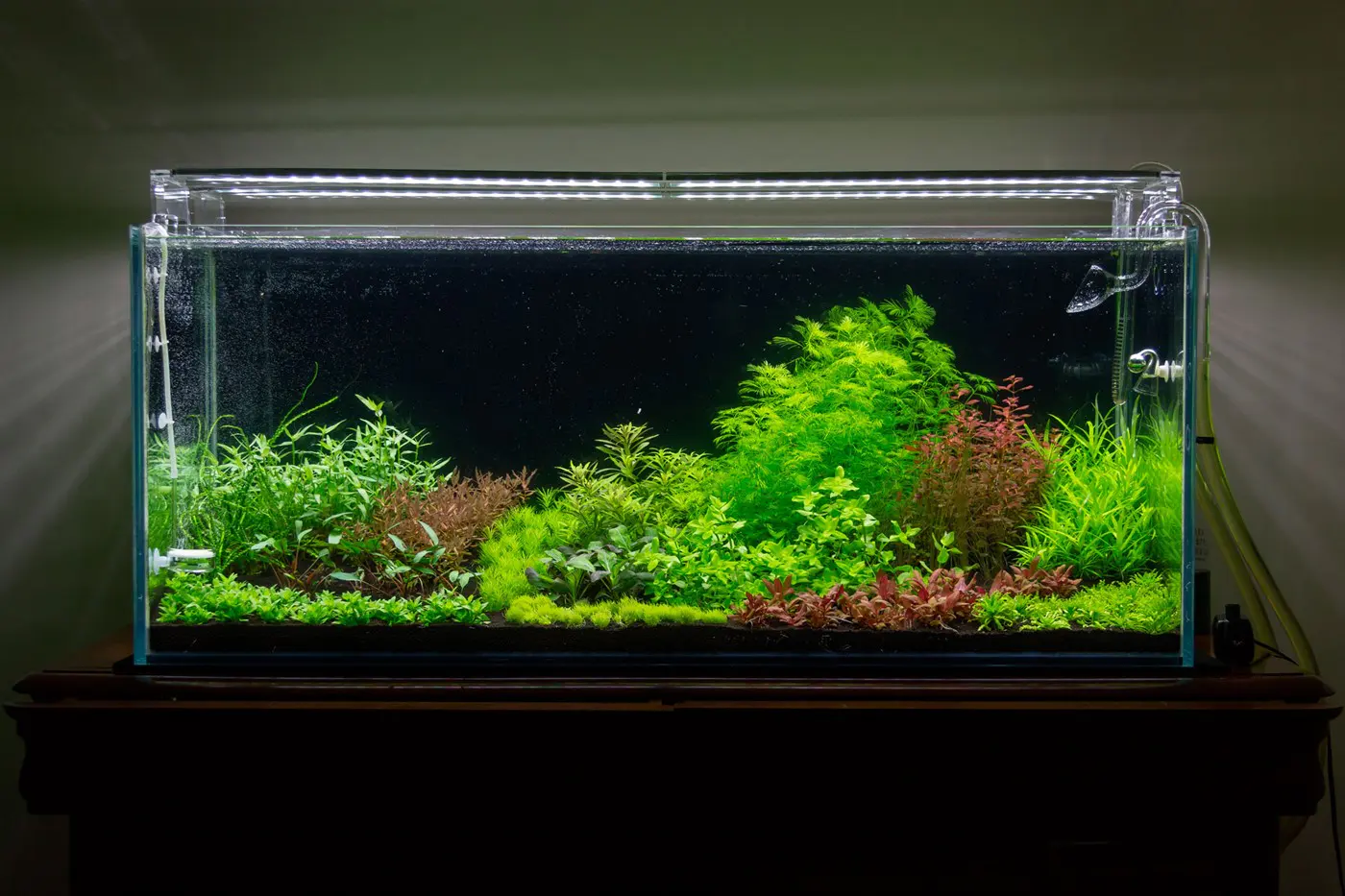 造景 105造景图片 12