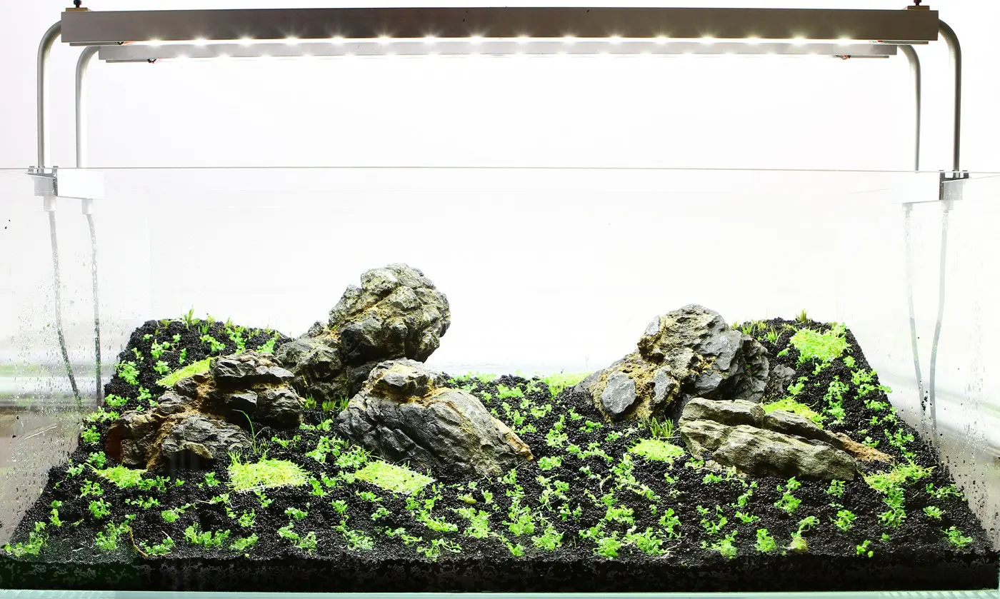 造景 72造景图片 3