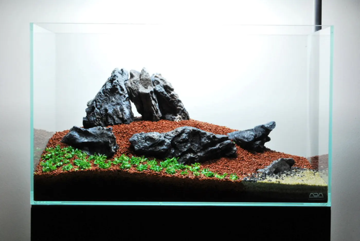 造景 59造景图片 19