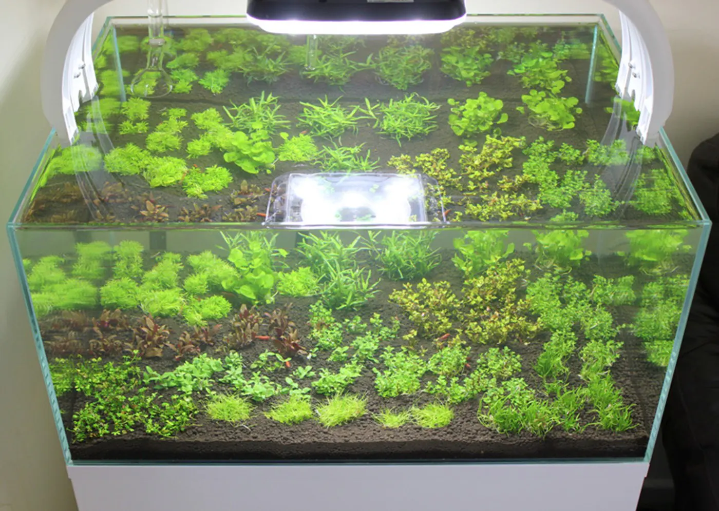 造景 85造景图片 6