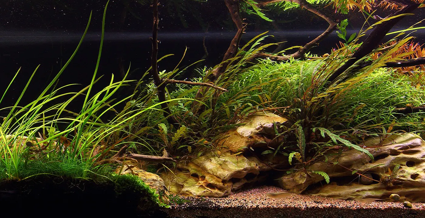 造景 114