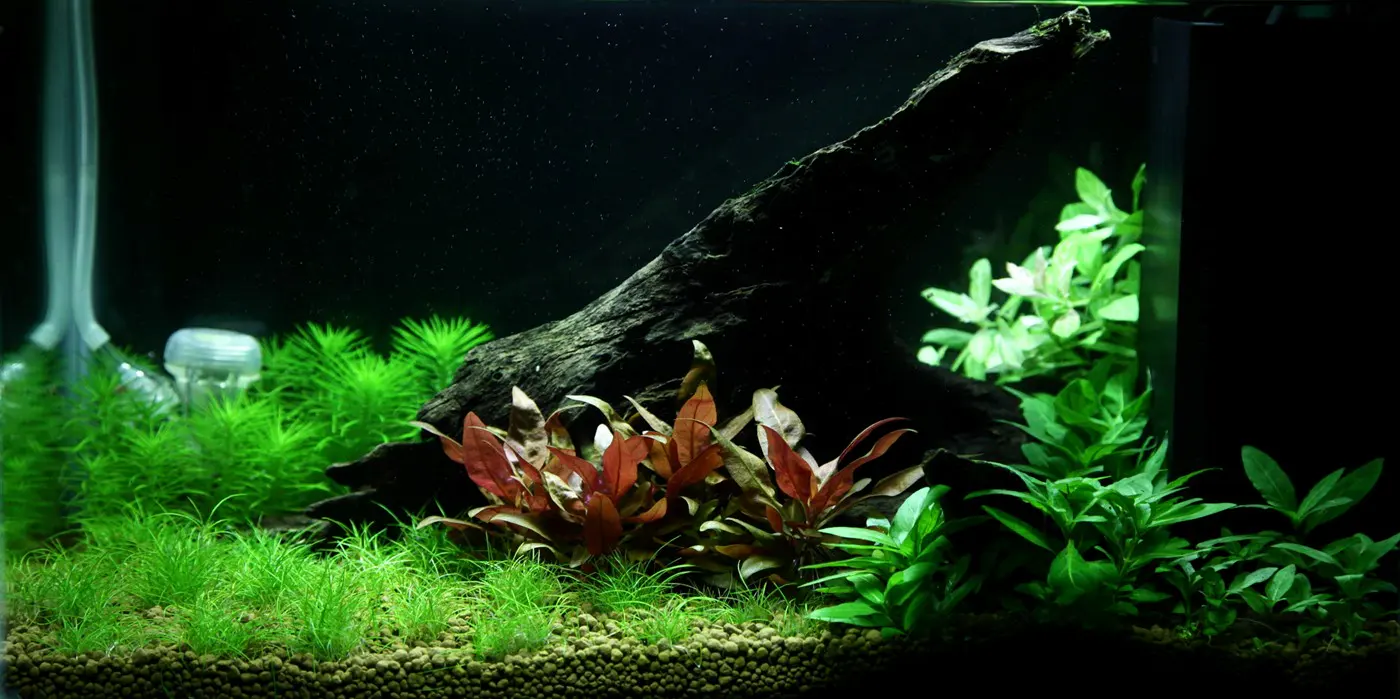 造景 93