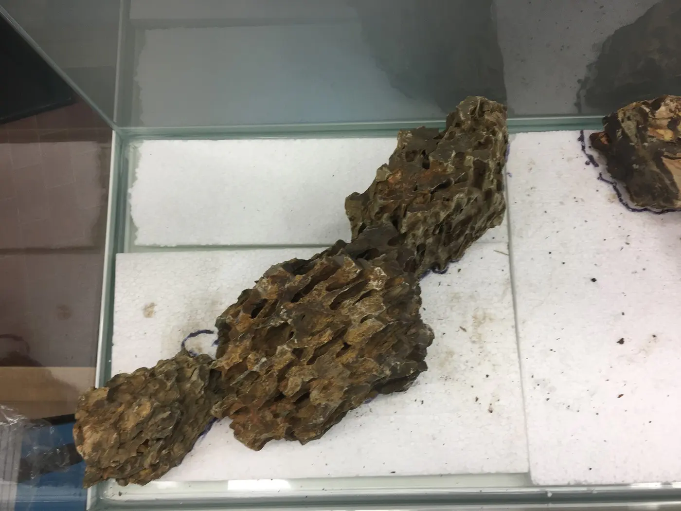 造景 118:寂静的力量造景图片 4