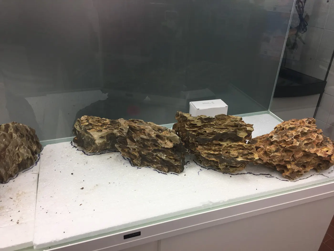 造景 118:寂静的力量造景图片 3