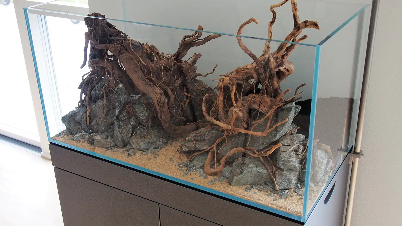 造景 121:低吼造景图片 3