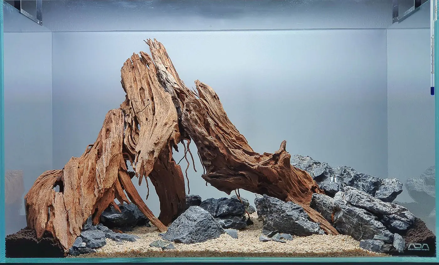 造景 124:Ndokulandela造景图片 2