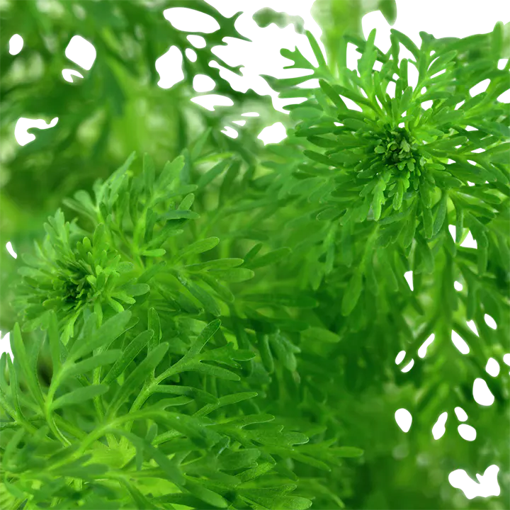 小宝塔细节图 2